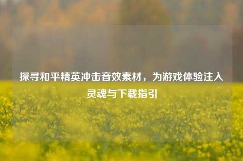 探寻和平精英冲击音效素材，为游戏体验注入灵魂与下载指引