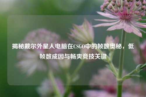 揭秘戴尔外星人电脑在CSGO中的帧数奥秘，低帧数成因与畅爽竞技关键
