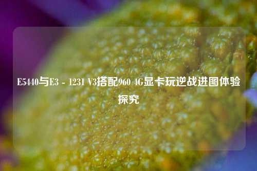 E5440与E3 - 1231 V3搭配960 4G显卡玩逆战进图体验探究