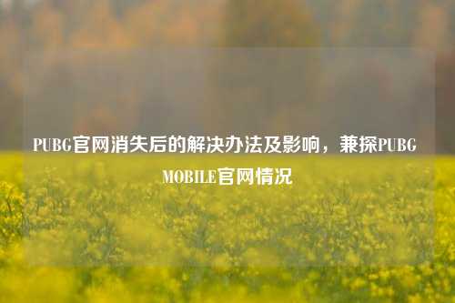 PUBG官网消失后的解决办法及影响,兼探PUBG MOBILE官网情况