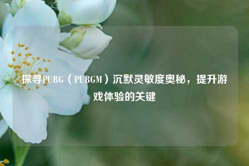 探寻PUBG(PUBGM)沉默灵敏度奥秘,提升游戏体验的关键