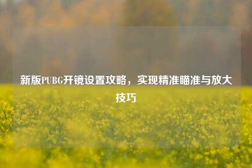 新版PUBG开镜设置攻略，实现精准瞄准与放大技巧