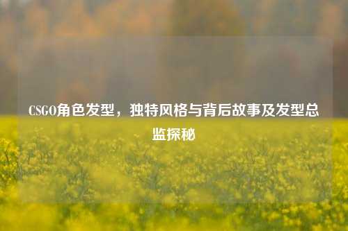 CSGO角色发型,独特风格与背后故事及发型总监探秘