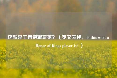 这就是王者荣耀玩家?(英文表述,Is this what a Honor of Kings player is? )