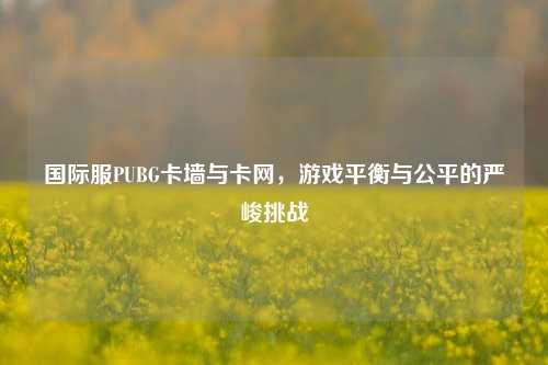 国际服PUBG卡墙与卡网，游戏平衡与公平的严峻挑战