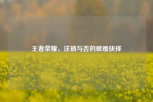 王者荣耀，注销与否的艰难抉择