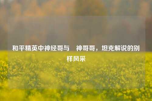 和平精英中神经哥与唥神哥哥,坦克解说的别样风采