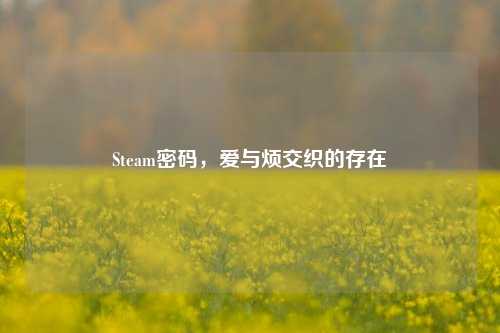 Steam密码,爱与烦交织的存在