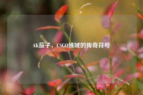 AK茄子,CSGO领域的传奇符号