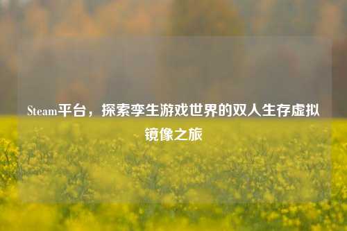 Steam平台，探索孪生游戏世界的双人生存虚拟镜像之旅