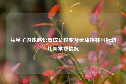 从皇子游戏感悟看成长蜕变及天津格林国际幼儿园学费情况