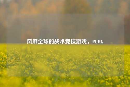风靡全球的战术竞技游戏，PUBG