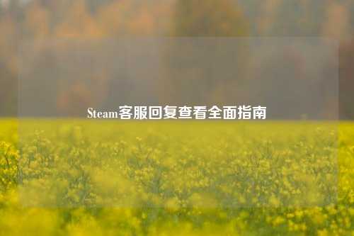 Steam客服回复查看全面指南