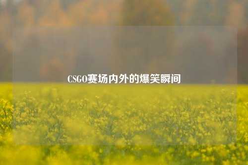 CSGO赛场内外的爆笑瞬间