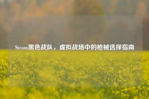 Steam黑色战队,虚拟战场中的枪械选择指南