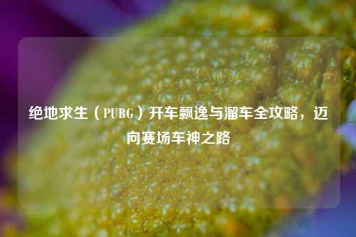 绝地求生(PUBG)开车飘逸与溜车全攻略,迈向赛场车神之路