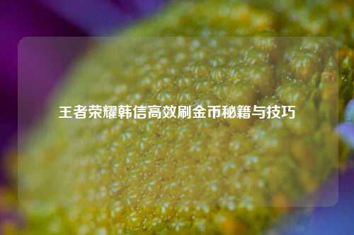 王者荣耀韩信高效刷金币秘籍与技巧