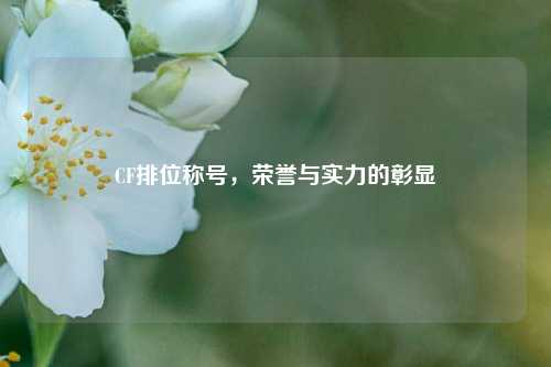 CF排位称号,荣誉与实力的彰显