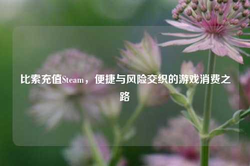 比索充值Steam,便捷与风险交织的游戏消费之路