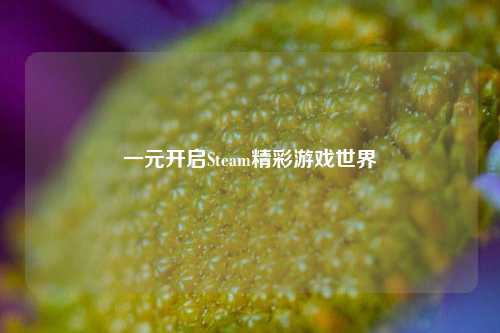一元开启Steam精彩游戏世界
