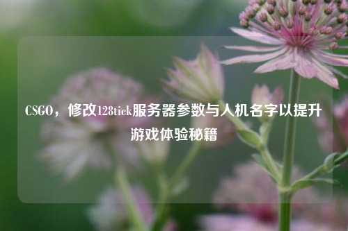 CSGO,修改128tick服务器参数与人机名字以提升游戏体验秘籍