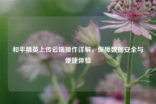 和平精英上传云端操作详解,保障数据安全与便捷体验