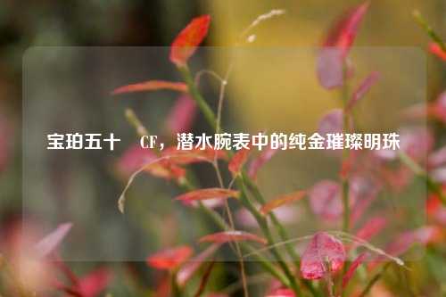 宝珀五十噚CF,潜水腕表中的纯金璀璨明珠