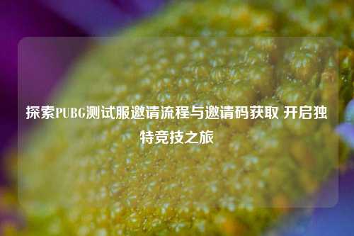探索PUBG测试服邀请流程与邀请码获取 开启独特竞技之旅