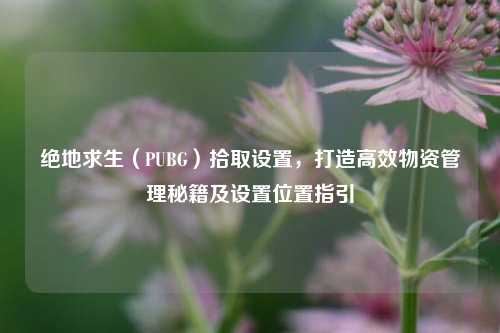 绝地求生(PUBG)拾取设置,打造高效物资管理秘籍及设置位置指引