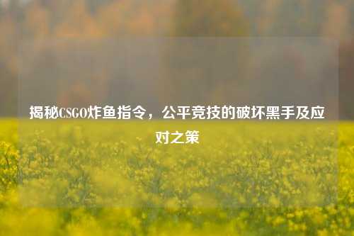 揭秘CSGO炸鱼指令,公平竞技的破坏黑手及应对之策