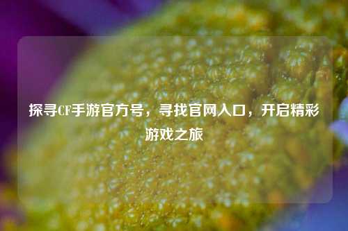 探寻CF手游官方号,寻找官网入口,开启精彩游戏之旅