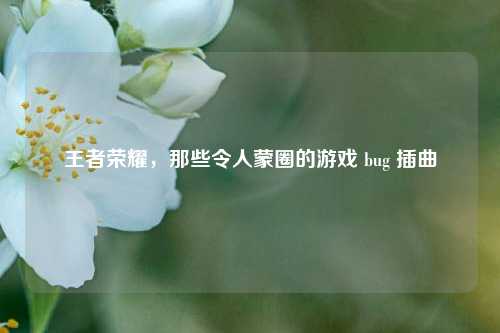 王者荣耀，那些令人蒙圈的游戏 bug 插曲