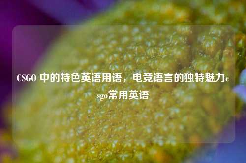 CSGO 中的特色英语用语,电竞语言的独特魅力csgo常用英语