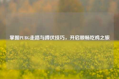 掌握PUBG走路与蹲伏技巧,开启顺畅吃鸡之旅