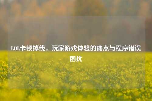 LOL卡顿掉线,玩家游戏体验的痛点与程序错误困扰