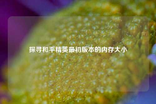 探寻和平精英最初版本的内存大小