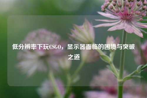 低分辨率下玩CSGO,显示器面临的困境与突破之道
