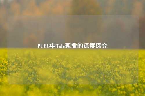 PUBG中Tole现象的深度探究