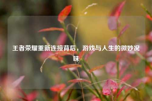 王者荣耀重新连接背后,游戏与人生的微妙况味