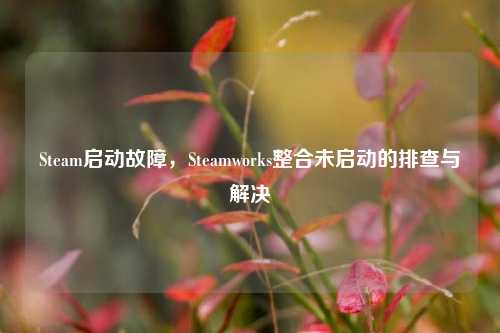 Steam启动故障,Steamworks整合未启动的排查与解决