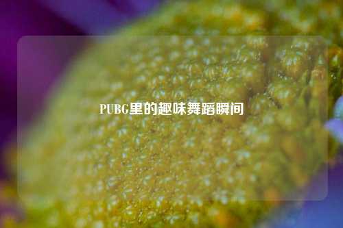 PUBG里的趣味舞蹈瞬间