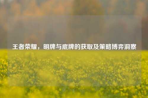 王者荣耀,明牌与底牌的获取及策略博弈洞察
