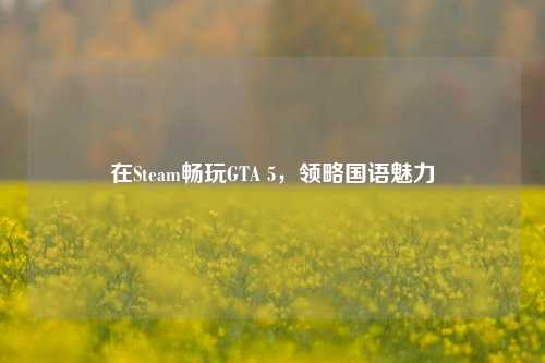 在Steam畅玩GTA 5,领略国语魅力