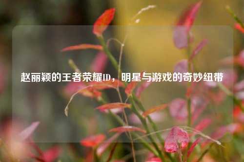 赵丽颖的王者荣耀ID,明星与游戏的奇妙纽带