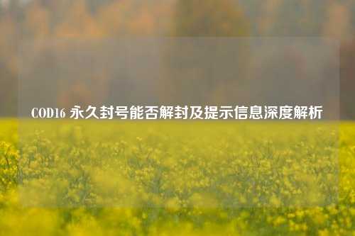COD16 永久封号能否解封及提示信息深度解析