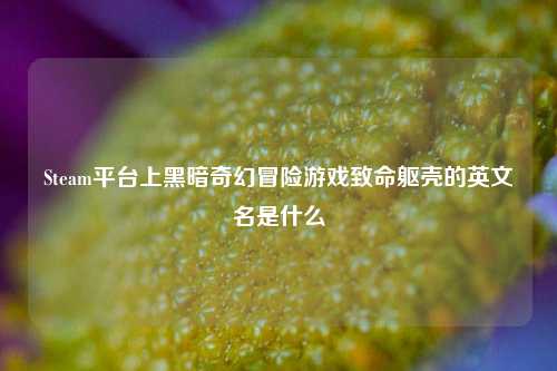 Steam平台上黑暗奇幻冒险游戏致命躯壳的英文名是什么