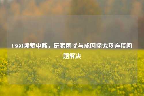 CSGO频繁中断,玩家困扰与成因探究及连接问题解决