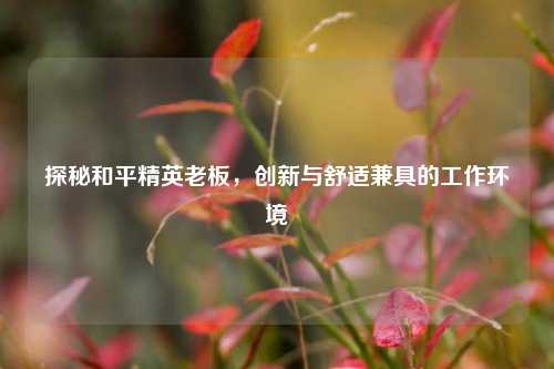 探秘和平精英老板，创新与舒适兼具的工作环境
