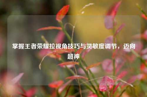 掌握王者荣耀拉视角技巧与灵敏度调节,迈向超神