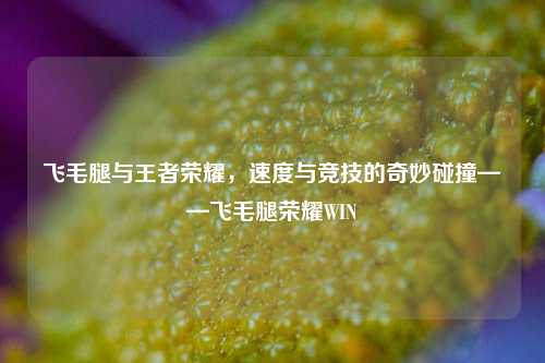 飞毛腿与王者荣耀，速度与竞技的奇妙碰撞——飞毛腿荣耀WIN